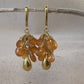 Redwood Raindrop Earrings with Spessartite