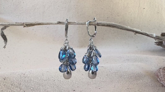 Redwood Raindrop Earrings with Kyanite